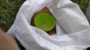 Куры на даче. Комбикорм.