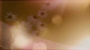 Jamu Spa Vladivostok