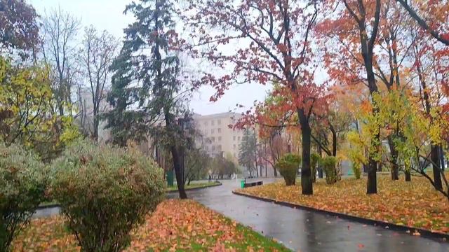 Kharkiv Харьков сегодня последние дни октября 26.10.2023