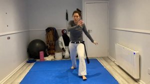 Capoeira training online | Drills and Repeat | Art of Movement Bristol