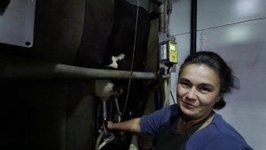 Мама на вечерней дойке