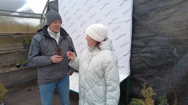 ВСЕГО ОДИН ЦВЕТОК УКРАСИТ СКУЧНЫЙ САД. ТОП ЛУЧШИХ СОРТОВ КЛЕМАТИСОВ ДЛЯ ДЕКОРА ВАШЕГО САДА смотреть онлайн