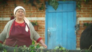 Домик в деревне! В гостях у бабушки Нади.