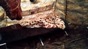 Палатка Берег УП-7 Внутренние размеры