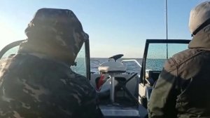 Рыбалка на Волге (слияние Волги и Камы)