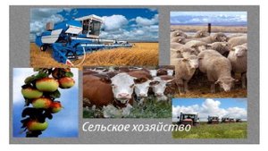 Воспитание казахстанского патриотизма