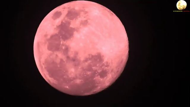 Huawei P30 Pro Night Zooming Pink Moon with lens смотреть онлайн