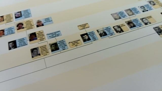 Создание и оформление генеалогического древа смотреть онлайн