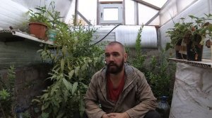 Ошибки в Подземной теплице