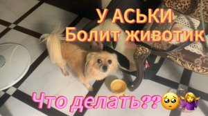 У Аськи болит животик Что делать?