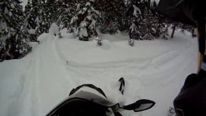 Ski-Doo 2014 Expedition Sport 600 ace