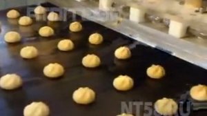 производство пряников на ленту тоннельной печи