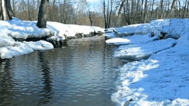Видеофон. Футаж весенний. Красивый футаж для видео. Фоновый футаж. Лесная речка