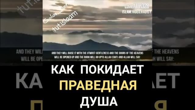 как покидает Праведного душа в тело смотреть онлайн