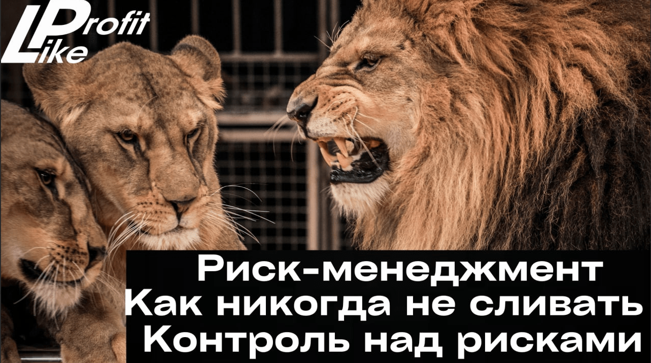 Риск-менеджмент и мани-менеджмент