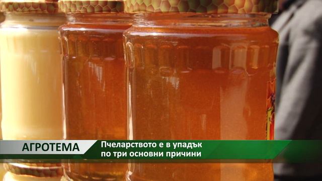 Агротема - ВИДЕО: Пчеларството е в упадък по три основни причини, автор: Камелия Карадочева смотреть онлайн