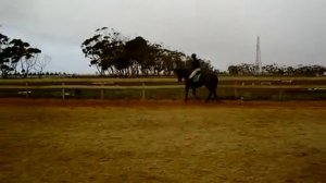 Wolfgang riding 6yo TB Mare - 9 weeks under saddle