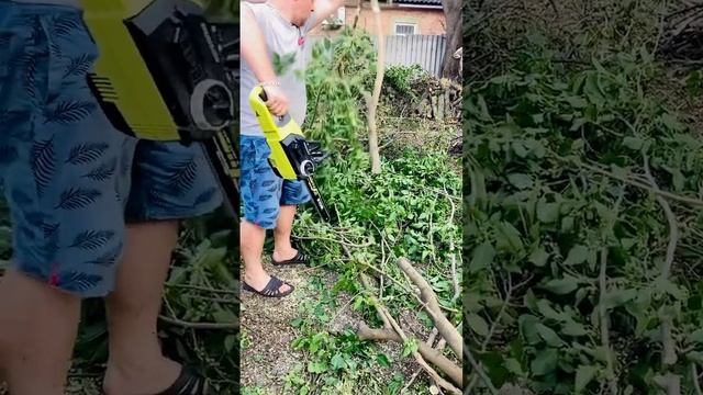 Аренда садового инструмента смотреть онлайн