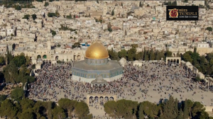 Иерусалим - строители Священного города [2022]