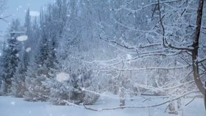 Звуки метели и вьюги. сон в метель.