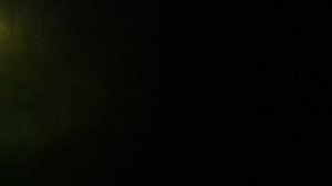 Подводная охота в торфяном болоте