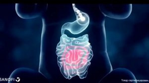 Энтерожермина