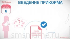 Ребенок 6 месяцев - рост и вес, введение прикорма, медосмотр.