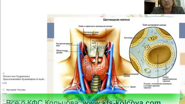Лузгинова С.В. 2017-06-08 «КФС и царственная эндокринная система» #кфскольцова