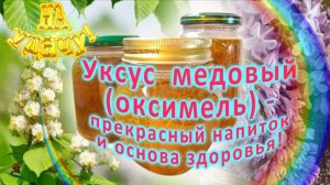 Уксус медовый (оксимель) - прекрасный напиток и основа здоровья