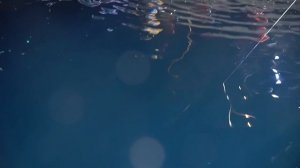 Адриатика. Возвращение.