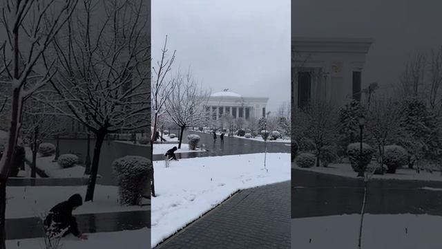 Узбекистан, Ташкент, Памятник Амира Тимура, 2020.02.18