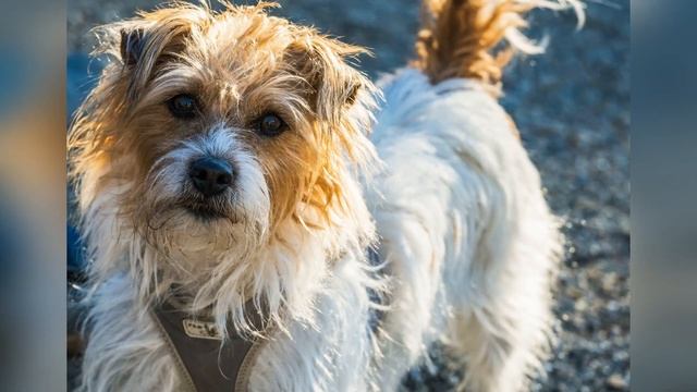У Матвея кровь застыла в жилах, когда он увидел кто стоит перед ним.Страшные Истории. 18+ смотреть онлайн