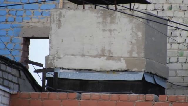 Биосфера. Пустельга в нашем дворе. Продолжаю наблюдения. Сидят в разных "углах". смотреть онлайн