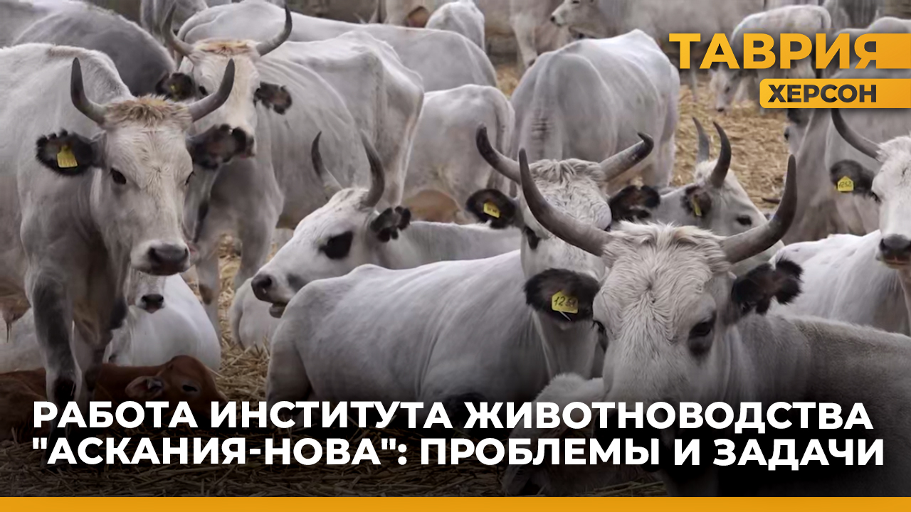 О работе Института животноводства степных районов "Аскания-Нова"