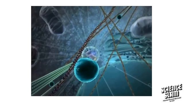 Дарья Плохова и Юлия Шайхутдинова Science Slam Политех