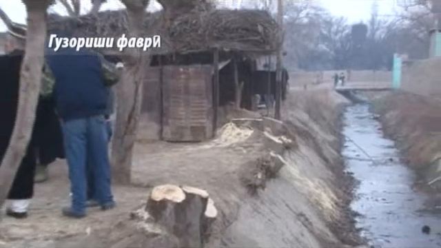 Вырубка деревьев, оперативная съёмка экополиции Согда смотреть онлайн