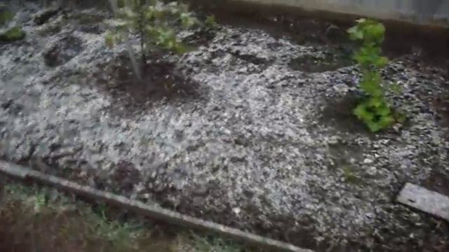 Украина. Изюм. Снегопадом на абрикосы 18.042017 (Е. Галкина) смотреть онлайн