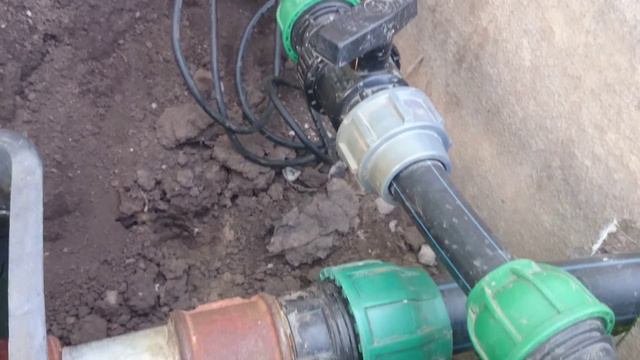 Запуск Биоплато весной.