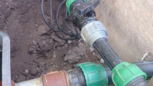 Запуск Биоплато весной.