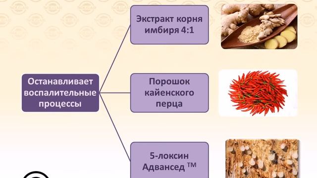 СОЛГАР  ЗДОРОВЬЕ СУСТАВОВ