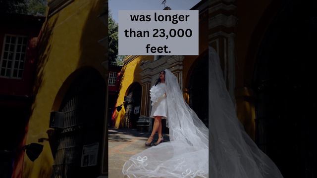 The Longest Wedding Veil on Record