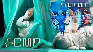 АСМР: БЕЛЫЙ кролик - Бирюзовый ГЛИТТЕР |постукивания| Видео для релакса и мурашек