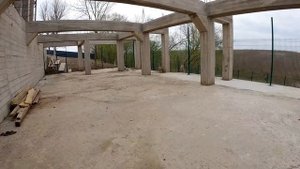 Питбули Кими и Араб задрались из за мяса до крови.... У Араба пробита вена. Кими зашивал..
