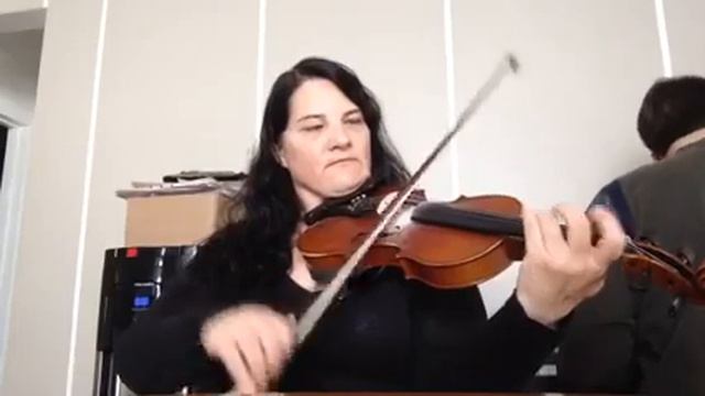 Day 68 - Three Men On A White Horse - Patti Kusturoks 365 Days of Fiddle Tunes