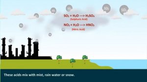 What is Acid rain? | Acid Rain | Effects of Acid Rain