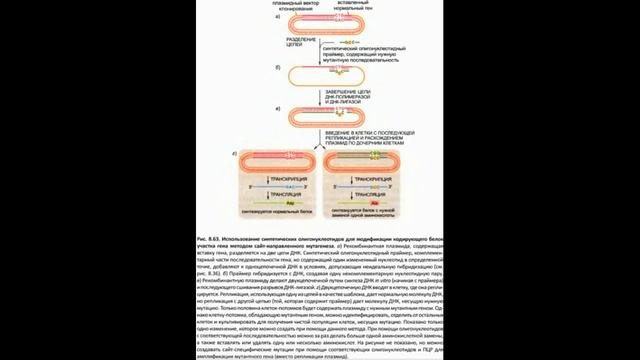 Изучение экспрессии и функционирования генов