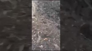 Жизнь на передовой