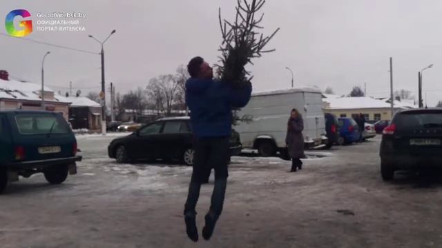 Выбираем и наряжаем живую ёлку смотреть онлайн