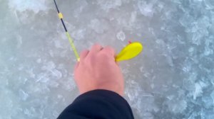 Рыбалка на Горьковском Водохранилище! Зимняя рыбалка с женой.