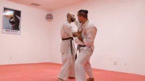 Atemi • Striking in Jujutsu (Jujitsu / Jiu-Jitsu) Self Defense